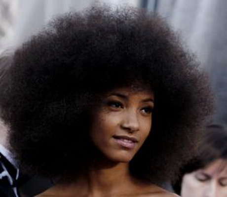 afro-cheveux-25_5 Afro cheveux