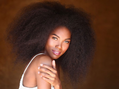 cheveux-afro-naturel-04 Cheveux afro naturel