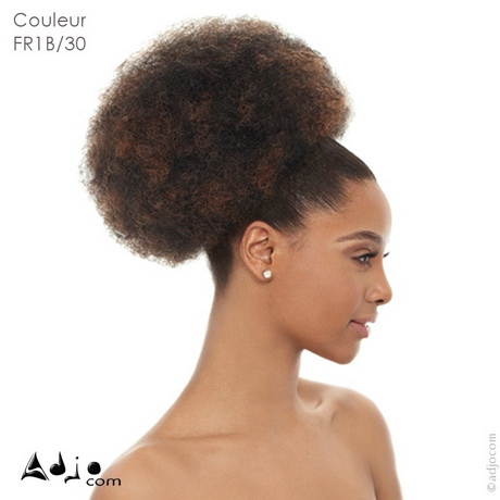 coiffure-afro-chignon-21_16 Coiffure afro chignon