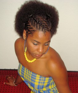 coiffure-tresse-cheveux-afro-85_11 Coiffure tresse cheveux afro