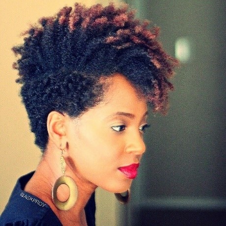 coiffures-cheveux-naturels-africains-14_3 Coiffures cheveux naturels africains