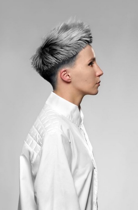 coiffure-cheveux-gris-24_10 Coiffure cheveux gris