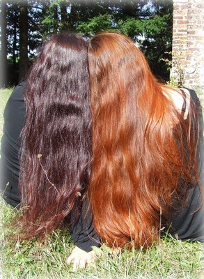 cheveux-long-naturel-35_13 Cheveux long naturel