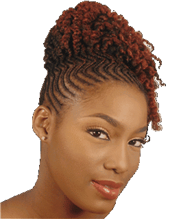 coiffure-afro-tresse-modele-90 Coiffure afro tresse modele
