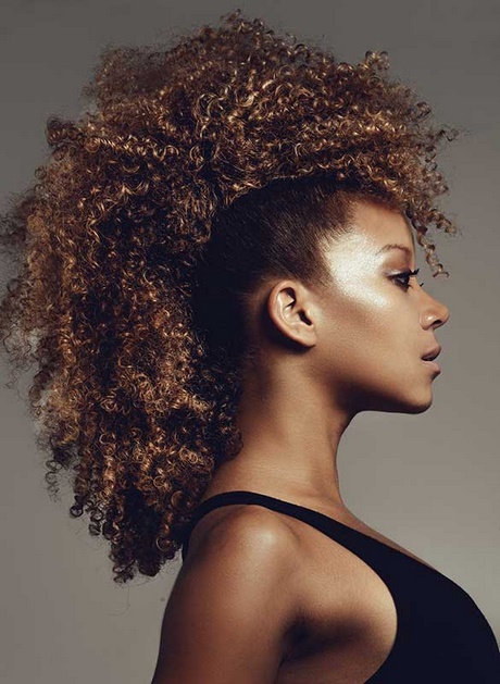 coiffure-femme-afro-amricaine-16_6 Coiffure femme afro américaine