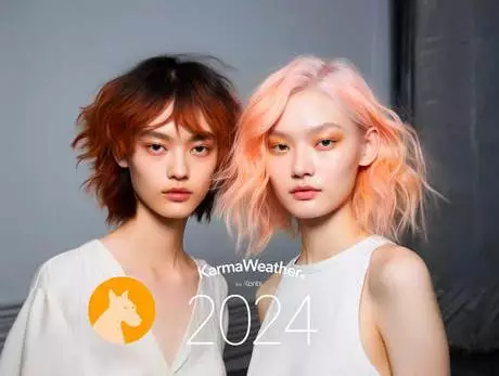 les-coup-des-cheveux-2024-10_4-10 Les coup des cheveux 2024