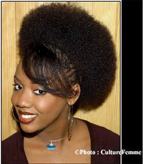 coiffure-afro-americaine-76_3 Coiffure afro americaine