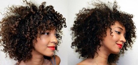 cheveux-friss-afro-41_15 Cheveux frisés afro