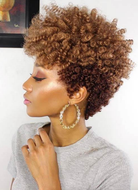 coiffure-afro-femme-2023-33 Coiffure afro femme 2023