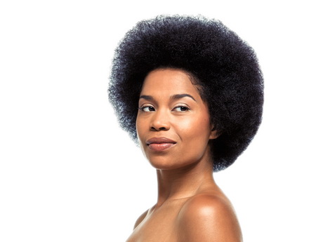 cheveux-naturels-afro-20 Cheveux naturels afro