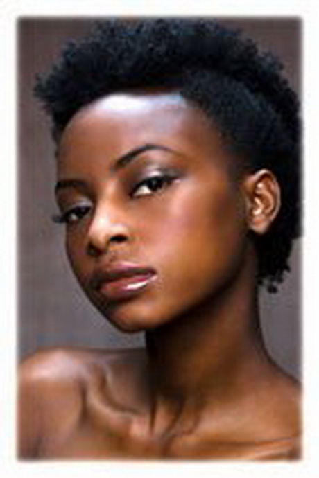 cheveux-naturels-afro-20_10 Cheveux naturels afro