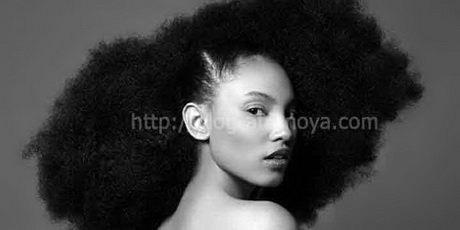 cheveux-naturels-afro-20_2 Cheveux naturels afro