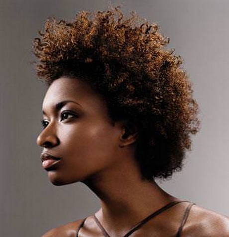 coiffure-afro-africaine-00 Coiffure afro africaine