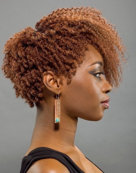 style-afro-coiffure-53_2 Style afro coiffure