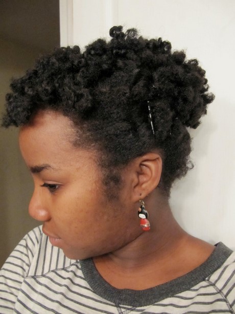 cheveux-naturels-afro-coiffure-51_6 Cheveux naturels afro coiffure