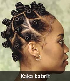 coiffure-africaine-avec-cheveux-naturels-30_17 Coiffure africaine avec cheveux naturels