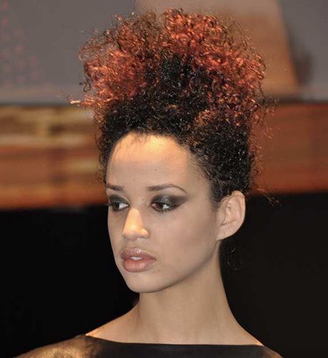 coiffure-femme-afro-antillaise-79_2 Coiffure femme afro antillaise