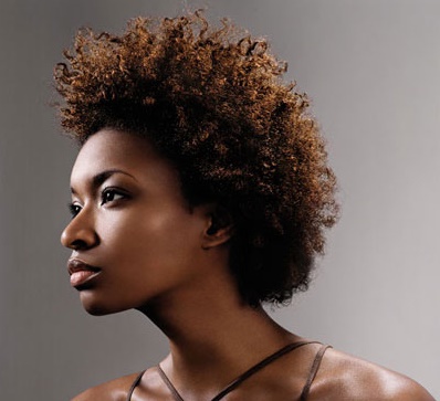 afro-cheveux-naturels-64_9 Afro cheveux naturels