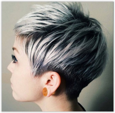 cheveux-gris-court-52_6 Cheveux gris court
