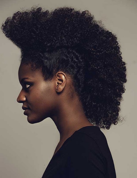 coiffure-afro-antillaise-femme-75_14 Coiffure afro antillaise femme