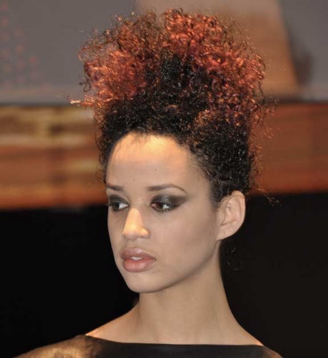coiffure-afro-antillaise-femme-75_17 Coiffure afro antillaise femme