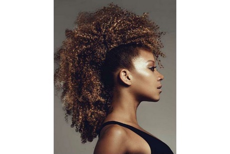modele-de-coiffure-afro-69 Modele de coiffure afro