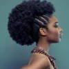 Coiffures cheveux afro